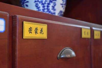 脾虚湿困型胰腺癌